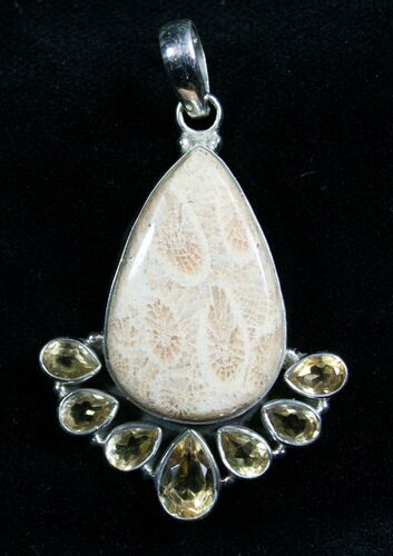 Beautiful Fossil Coral Pendant #7721